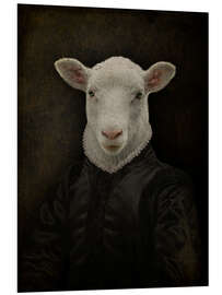 Foam board print Lord Chesterfield Sheep