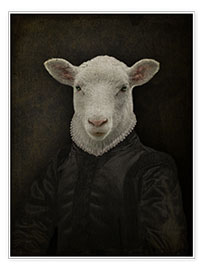 Wall print  Lord Chesterfield Sheep - Philippe Tyberghien
