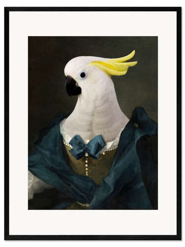 Kehystetty taidepainatus Cockatoo Diane