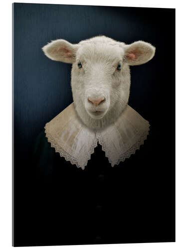 Acrylic print Charleroi Sheep