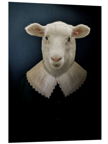 Foam board print Charleroi Sheep