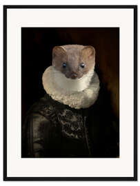 Gerahmter Kunstdruck Flämisches Frettchen