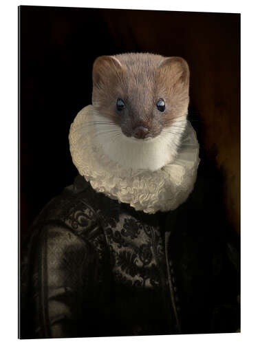 Gallery print Flemish ferret