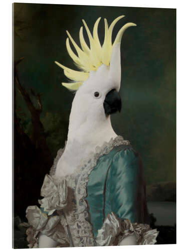 Acrylic print Cockatoo Adelaide