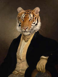 Magnettafel Dandy Tiger