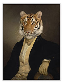 Wall print  Dandy Tiger - Philippe Tyberghien