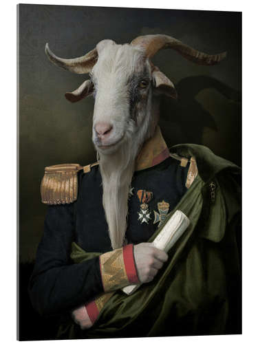 Acrylic print The Goat Governor General