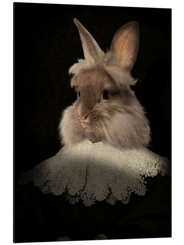 Tableau en aluminium Flemish rabbit