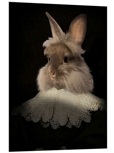 Stampa su PVC Flemish rabbit