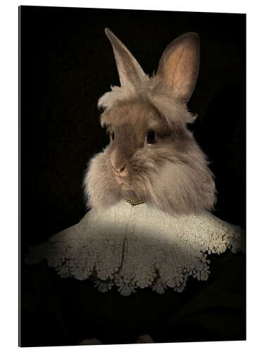 Gallery print Flemish rabbit