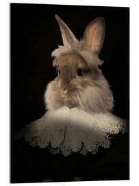 Gallery print Flemish rabbit