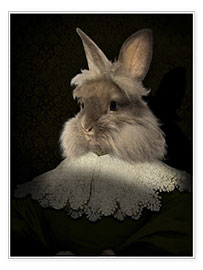 Tableau  Flemish rabbit - Philippe Tyberghien
