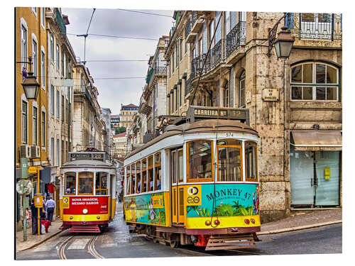 Aluminium print Historical trams in Lisbon - Portugal