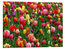 Stampa su PVC Colorful tulip bed