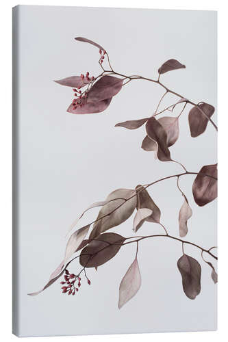 Canvas print Dried eucalyptus branches