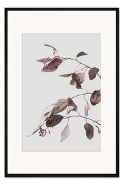 Gerahmter Kunstdruck Getrocknete Eucalyptus Zweige