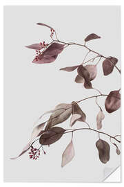 Adesivo murale Dried eucalyptus branches