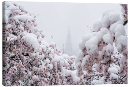 Leinwandbild Berner Münster im Nebel mit Kirschblüten im Schnee II