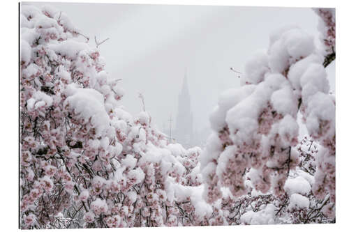 Galleritryk Bern Minster in the Fog With Cherry Blossoms in the Snow II