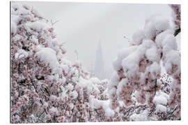 Quadro em plexi-alumínio Bern Minster in the Fog With Cherry Blossoms in the Snow II