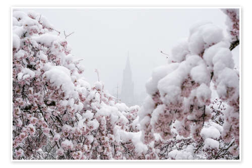 Plakat Bern Minster in the Fog With Cherry Blossoms in the Snow II