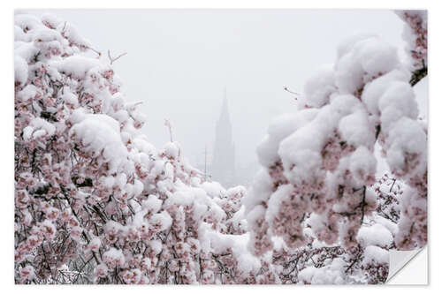 Wandsticker Berner Münster im Nebel mit Kirschblüten im Schnee II