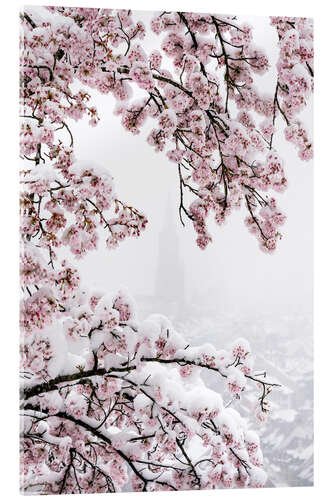 Acrylic print Bern Minster in the Fog With Cherry Blossoms in the Snow I