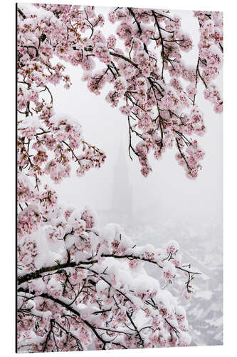 Aluminiumsbilde Bern Minster in the Fog With Cherry Blossoms in the Snow I