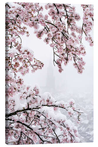 Canvas print Bern Minster in the Fog With Cherry Blossoms in the Snow I