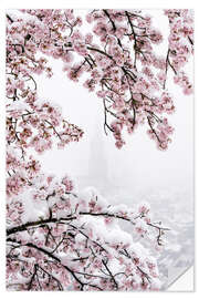 Wall sticker Bern Minster in the Fog With Cherry Blossoms in the Snow I