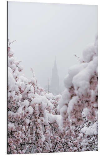 Aluminium print Bern Minster in the Fog With Cherry Blossoms in the Snow III