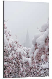 Alubild Berner Münster im Nebel mit Kirschblüten im Schnee III