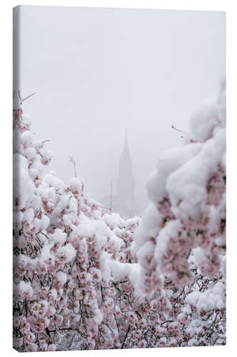 Quadro em tela Bern Minster in the Fog With Cherry Blossoms in the Snow III