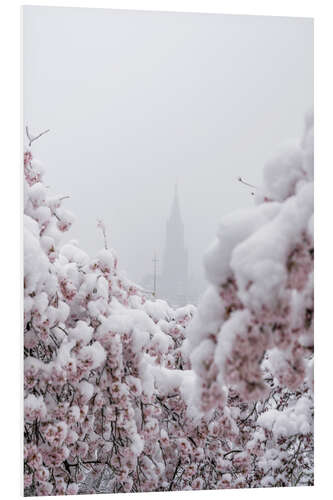 Tableau en PVC Bern Minster in the Fog With Cherry Blossoms in the Snow III