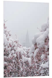 Foam board print Bern Minster in the Fog With Cherry Blossoms in the Snow III