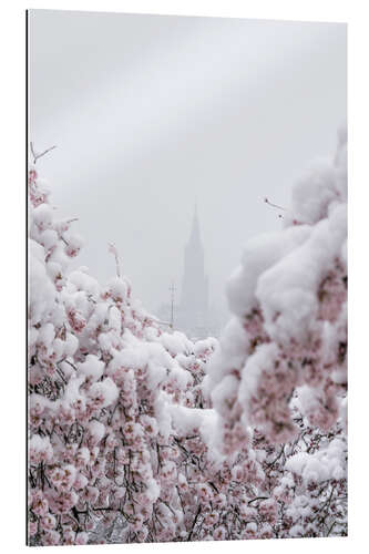 Tableau en plexi-alu Bern Minster in the Fog With Cherry Blossoms in the Snow III