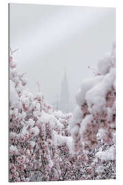 Gallery print Bern Minster in the Fog With Cherry Blossoms in the Snow III