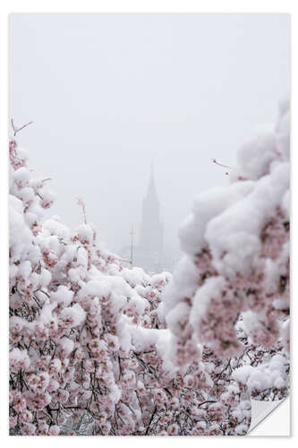 Wall sticker Bern Minster in the Fog With Cherry Blossoms in the Snow III