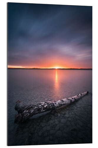 Gallery Print Sonnenuntergang über dem Bodensee