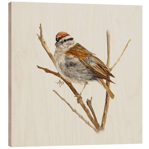 Stampa su legno Perched Chipping Sparrow