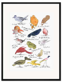Gerahmter Kunstdruck The Coloured Birds Compilation