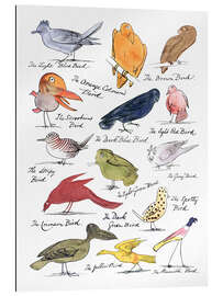 Gallery Print The Coloured Birds Compilation