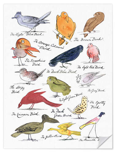 Wall sticker The Coloured Birds Compilation