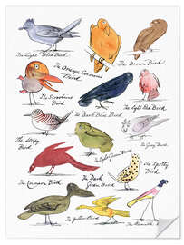 Wandsticker The Coloured Birds Compilation