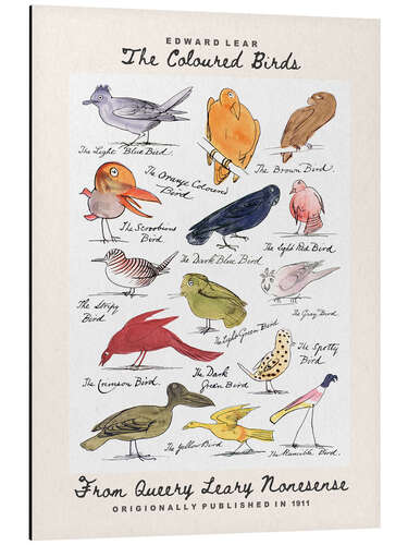 Quadro em alumínio The Coloured Birds Compilation (From Queery Leary Nonesense)