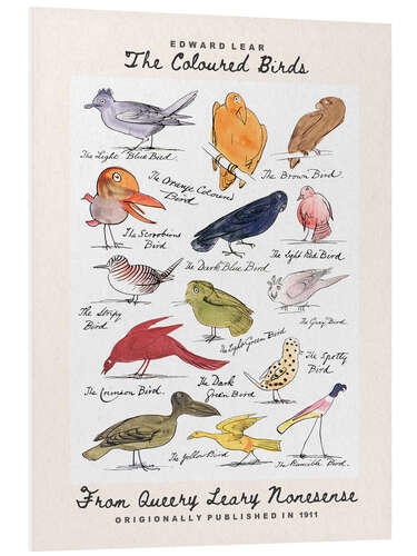 Foam board print The Coloured Birds Compilation (From Queery Leary Nonesense)