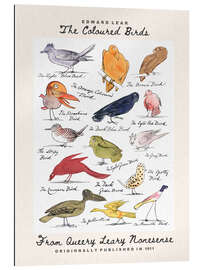 Gallery print The Coloured Birds Compilation (From Queery Leary Nonesense)