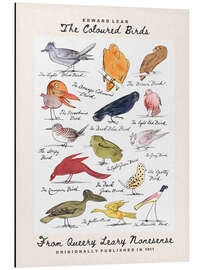 Magnettafel The Coloured Birds Compilation (From Queery Leary Nonesense)