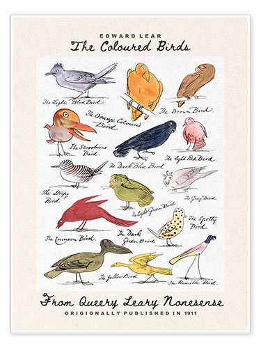 Poster The Coloured Birds Compilation (From Queery Leary Nonesense)