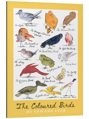 Aluminium print The Coloured Birds Yellow Compilation